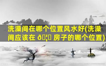 洗澡间在哪个位置风水好(洗澡间应该在 🦈 房子的哪个位置)